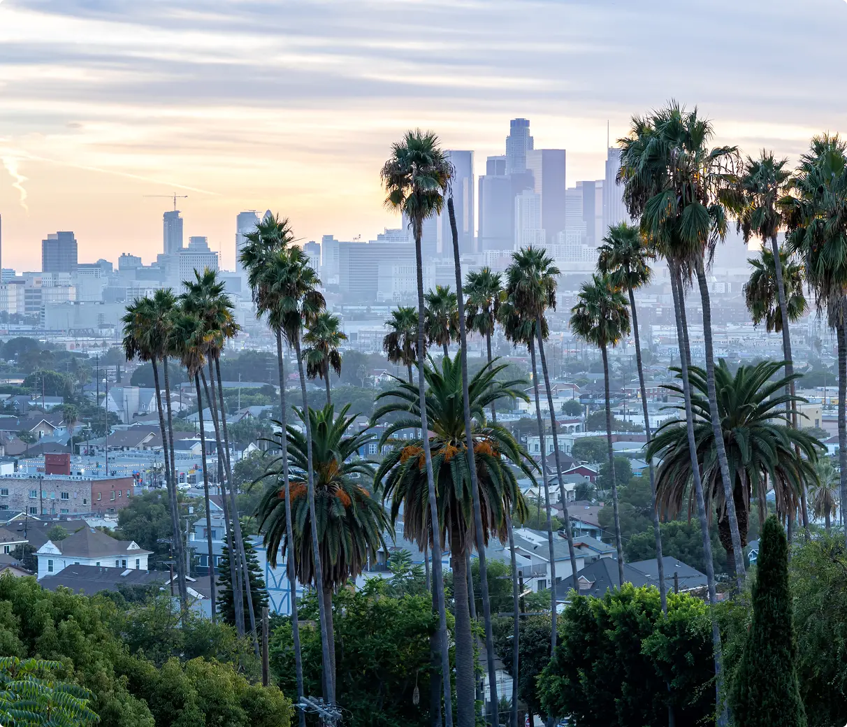 A serene view of Los Angeles at dusk with tall palm trees in the foreground and the city skyline in the background, under a pastel-colored sky.